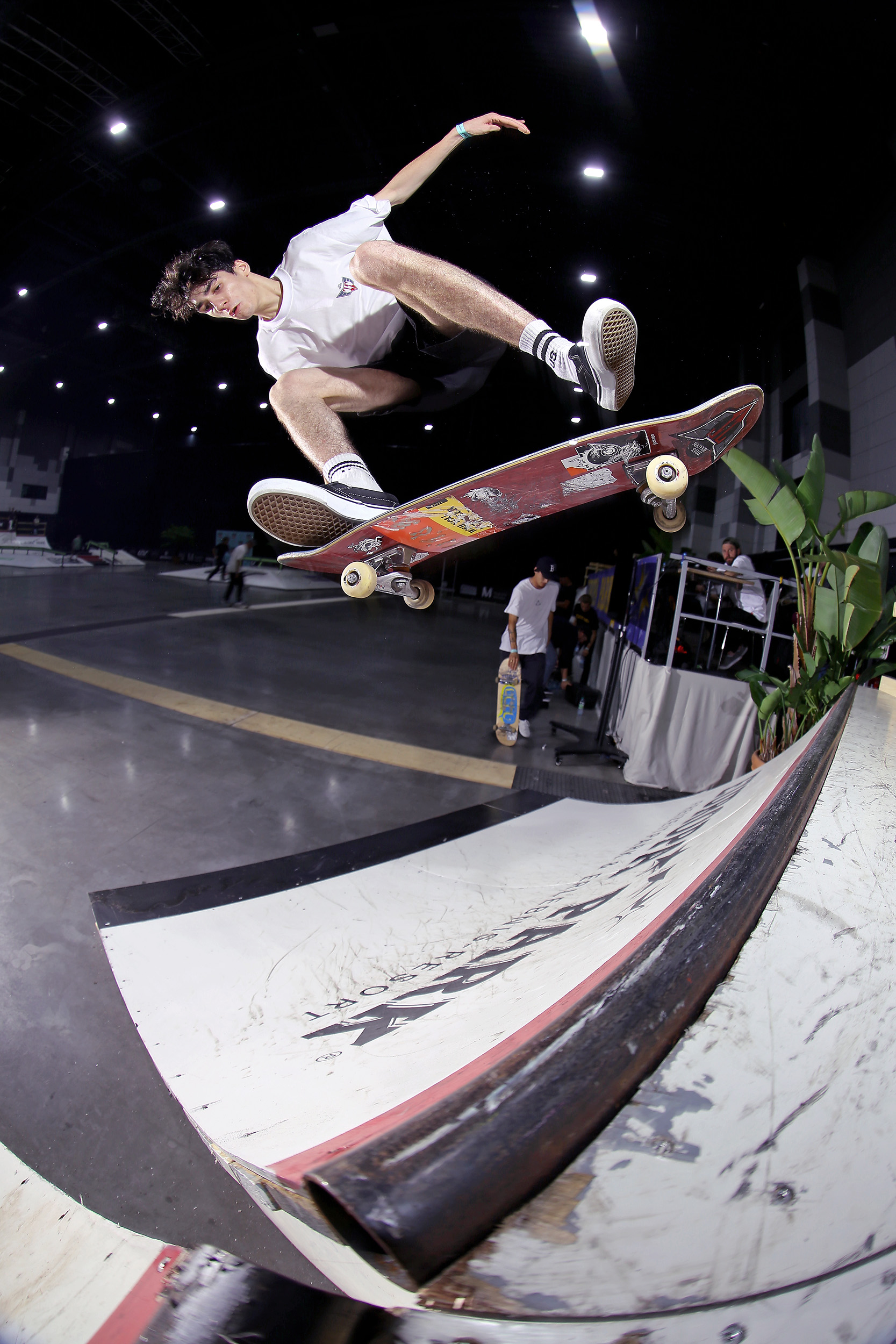 DominicWenzel_SwFlipToFakie_Rust.jpg