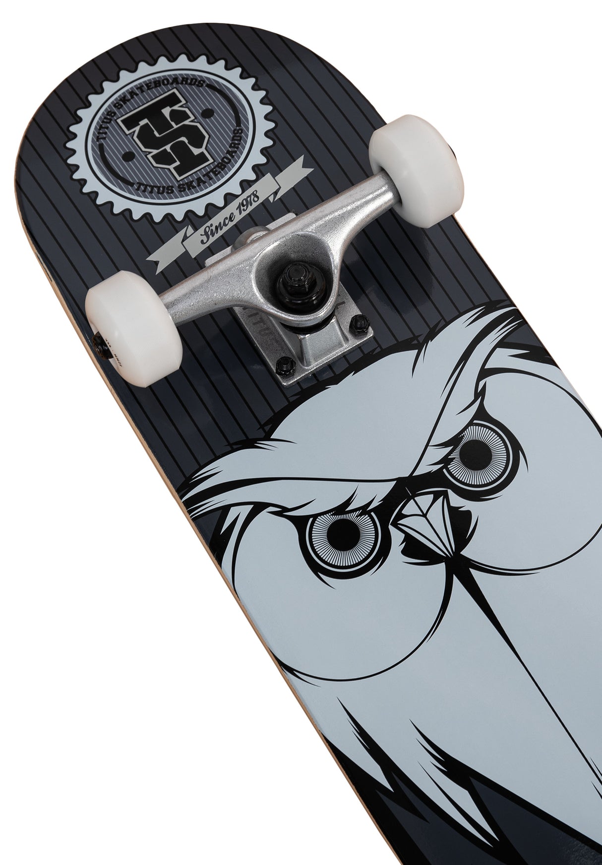 Blackbird Owl Mini black-grey-white Seitenansicht